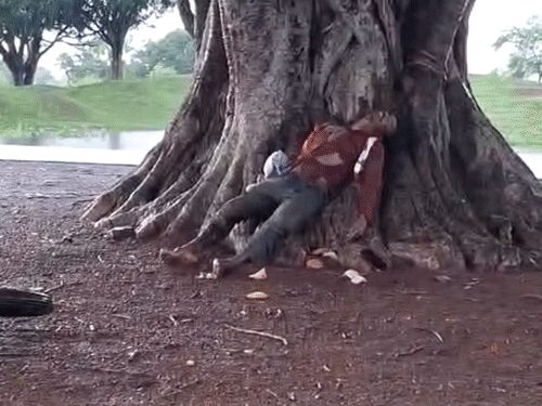 छत्तीसगढ़ में बिजली गिरने से 4 की मौत, 5 जिलों में ऑरेंज अलर्ट